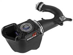 Momentum GT Pro 5R Air Intake System 50-70001R